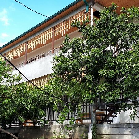 Inzhir Guest House New Athos Εξωτερικό φωτογραφία