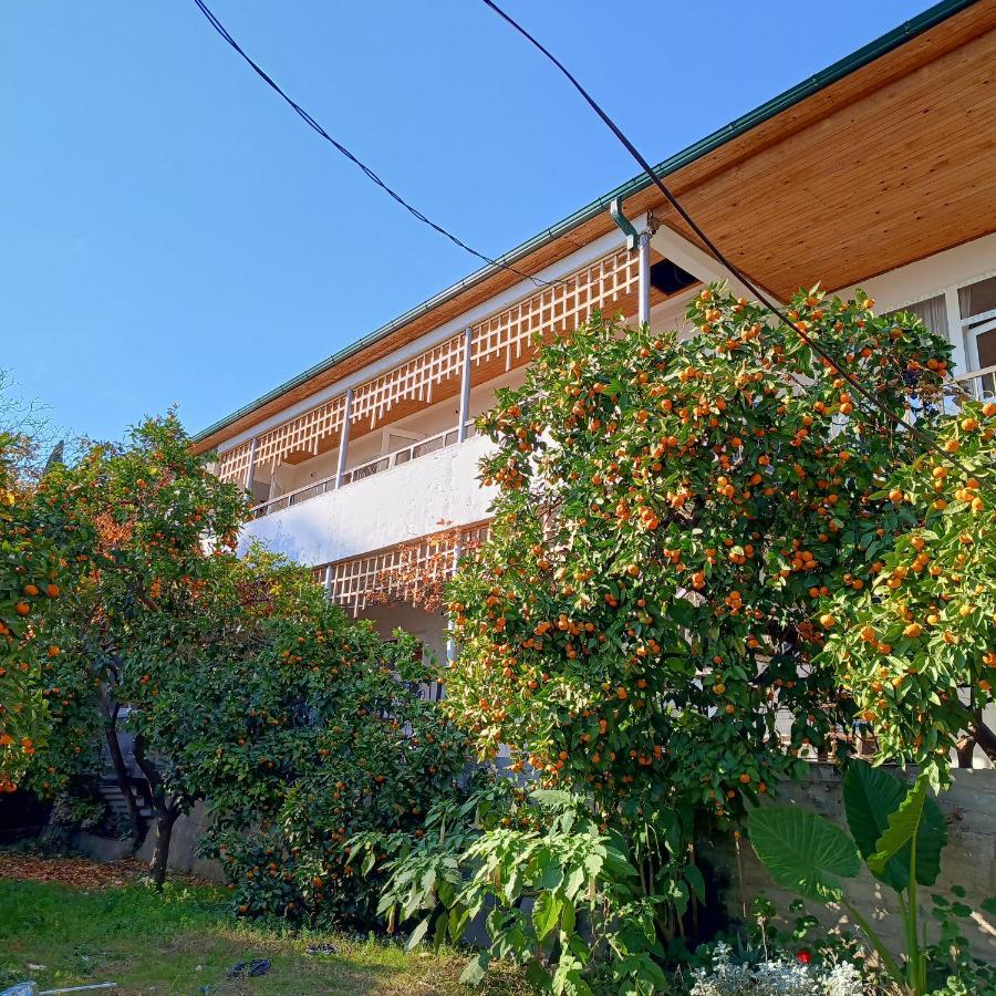 Inzhir Guest House New Athos Εξωτερικό φωτογραφία
