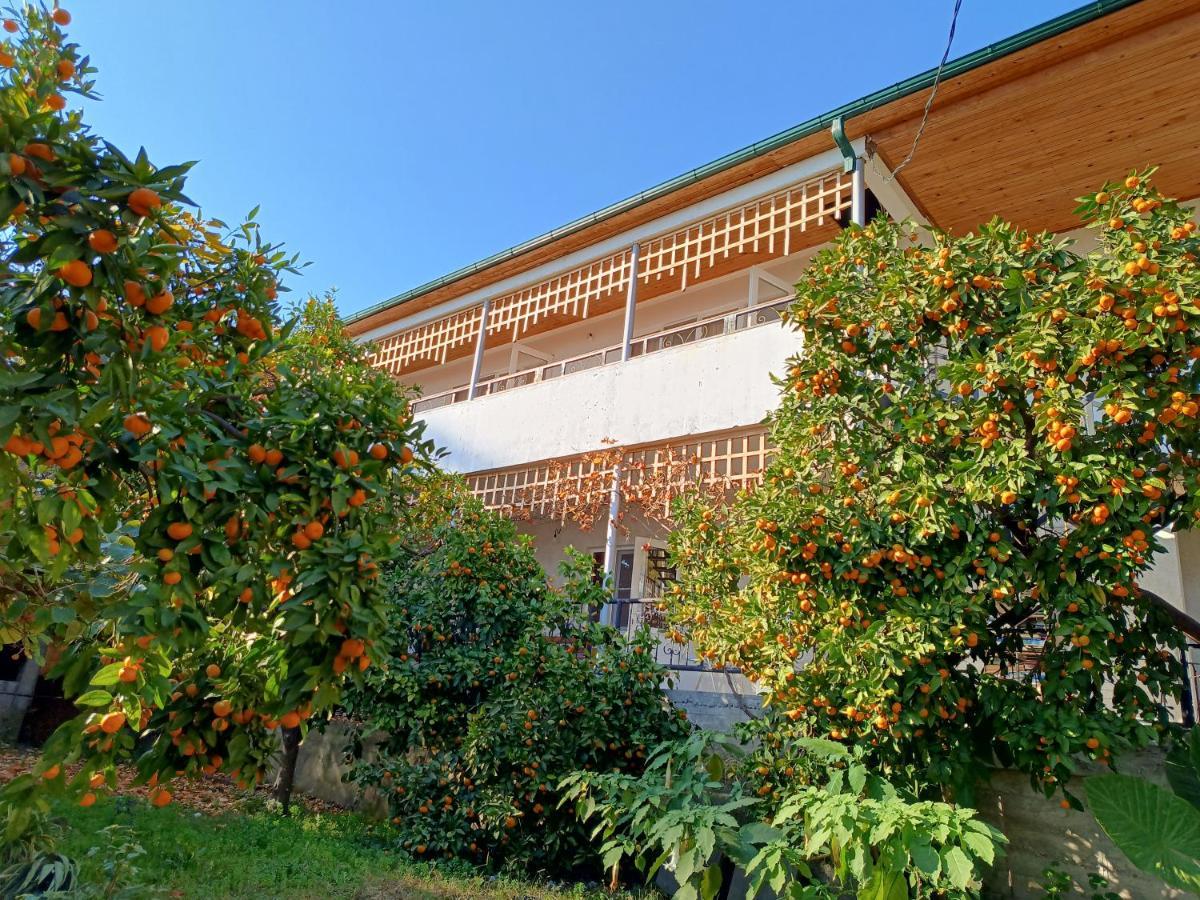 Inzhir Guest House New Athos Εξωτερικό φωτογραφία