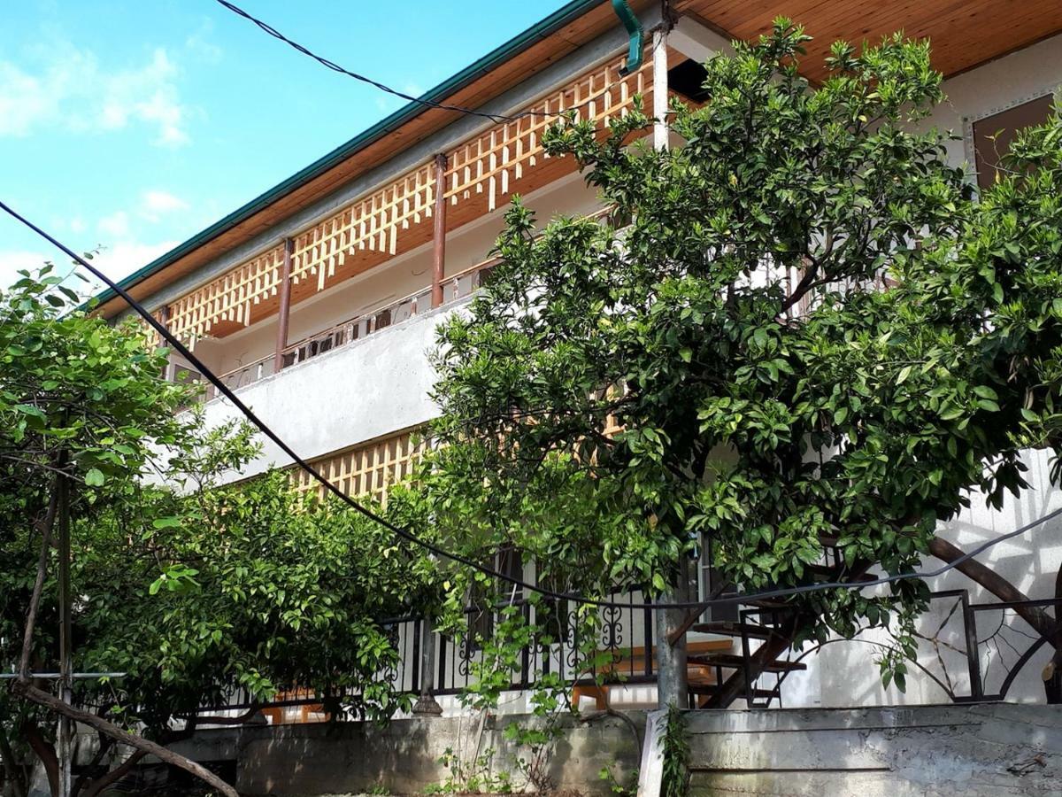 Inzhir Guest House New Athos Εξωτερικό φωτογραφία